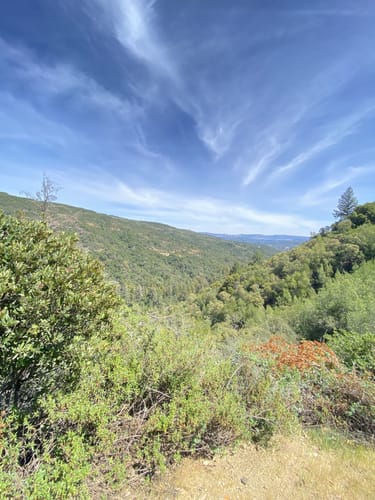 Uvas Canyon County Park