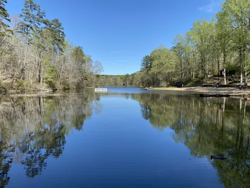 10 Best Hikes and Trails in Paris Mountain State Park AllTrails