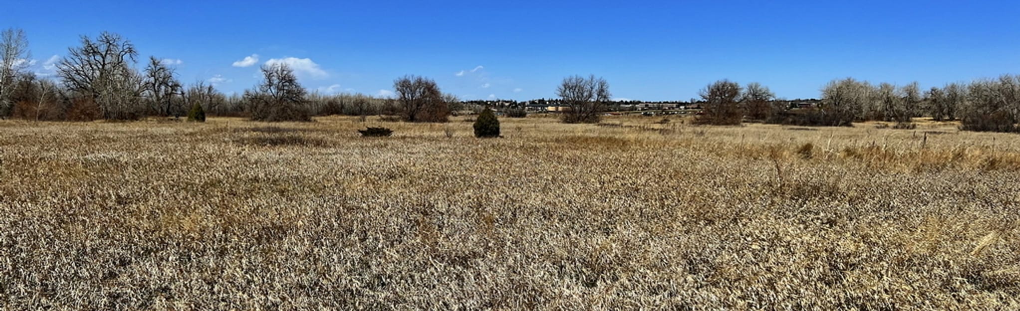 piney-creek-and-cherry-creek-trail-307-reviews-map-colorado-alltrails