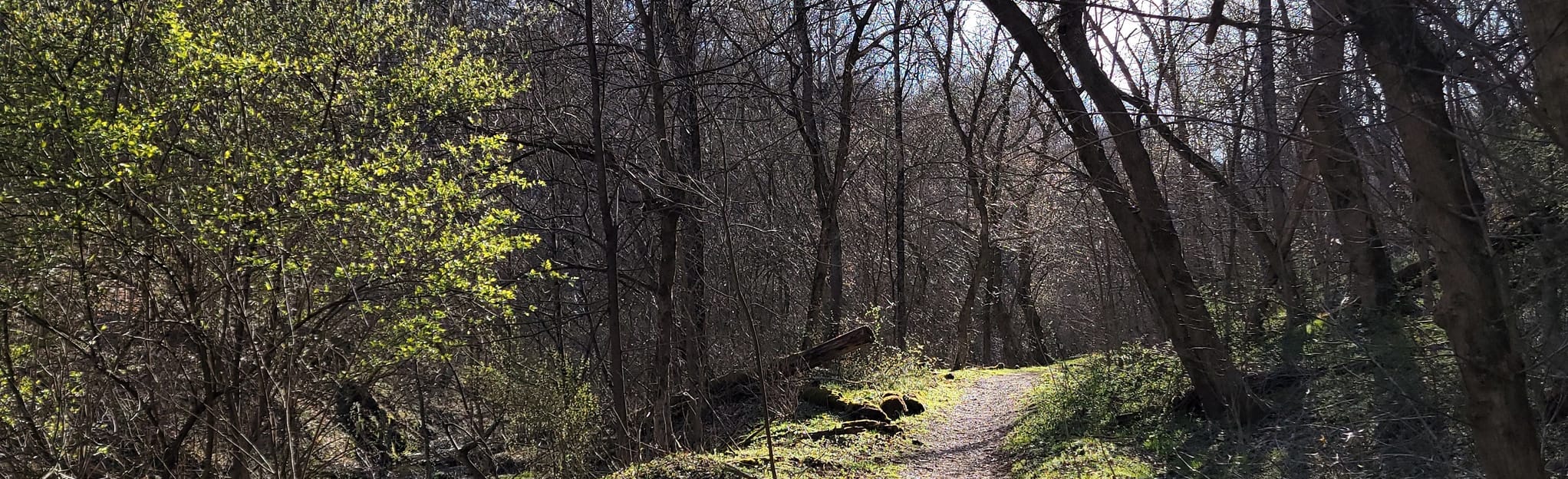 Cool Spirit Trail via Great Allegheny Passage, Pennsylvania 107