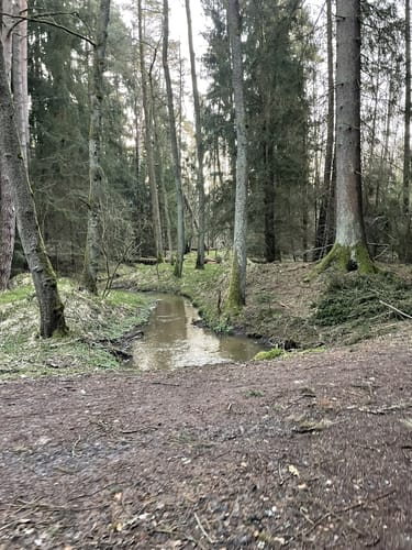 Durchs Mühllohbachtal