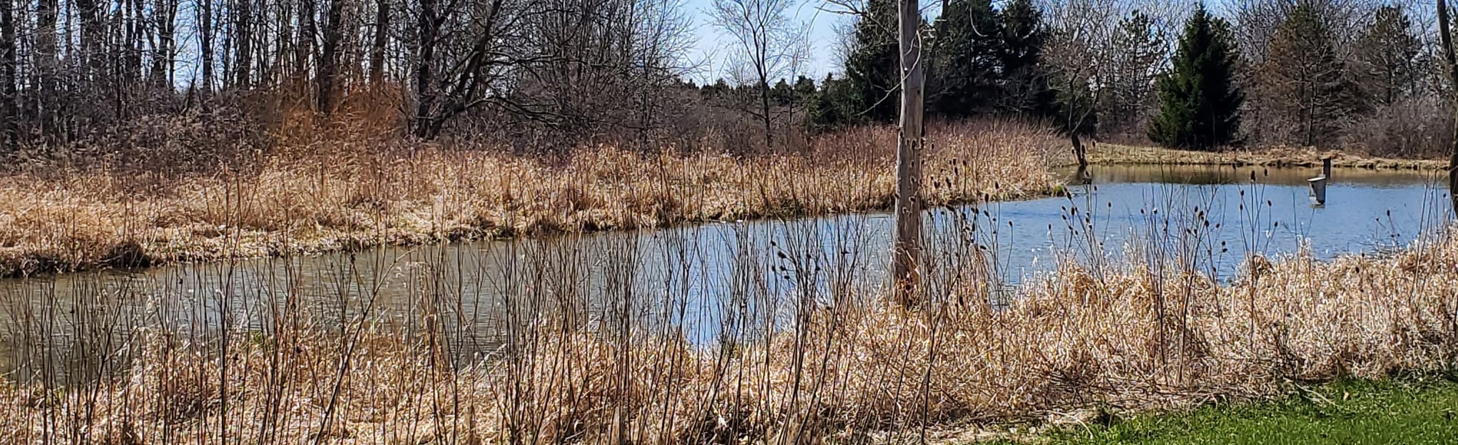 Nature Trails Park, Ohio 33 Reviews, Map AllTrails