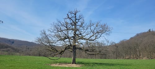 Naturpfad Weltende