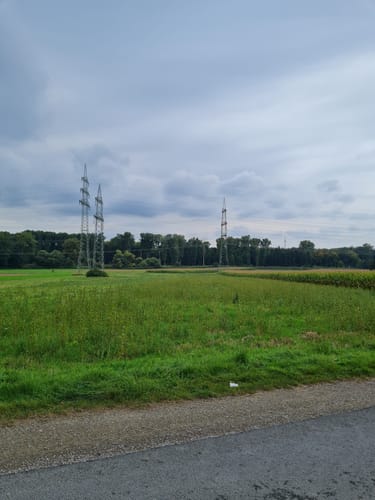 Dettingen: Kleinostheimer Waldrundweg