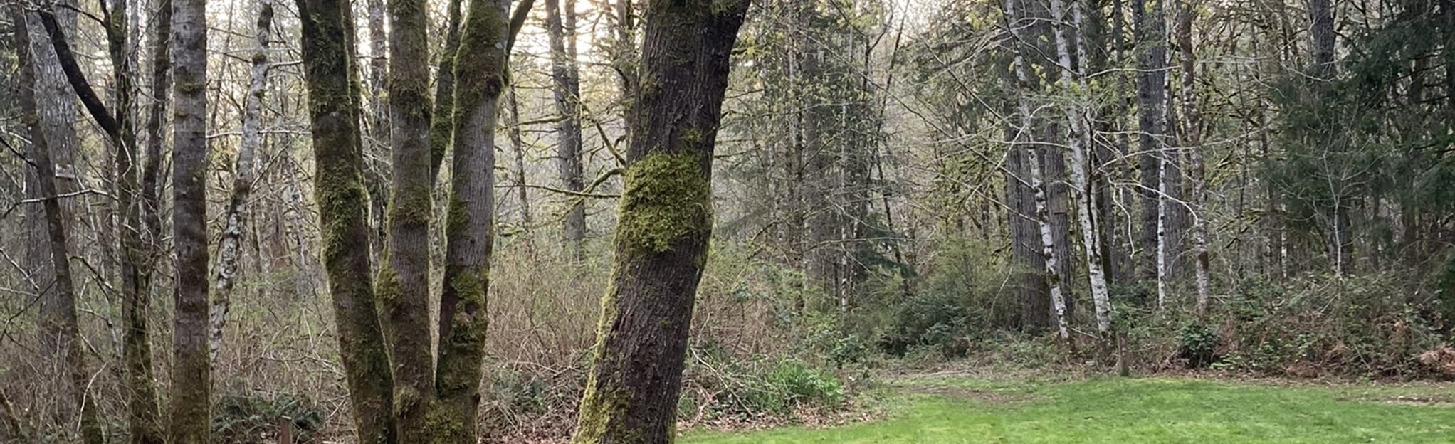 AllTrails Vaughn Outer Loop Trail 19 Reviews, Map Washington