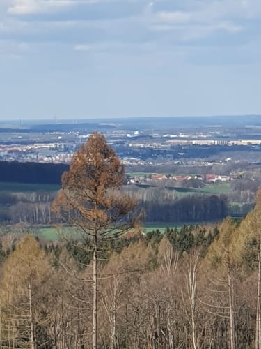Um den Hochstein (Lawalde)