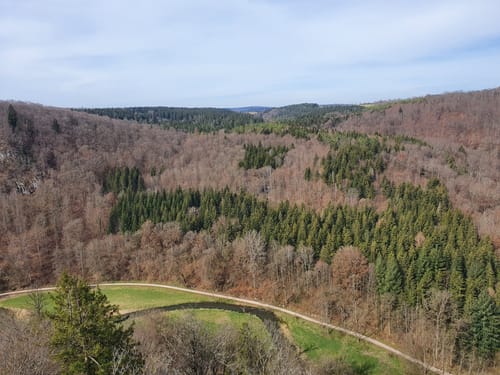 Burgfelsenpfad (Traumtour)