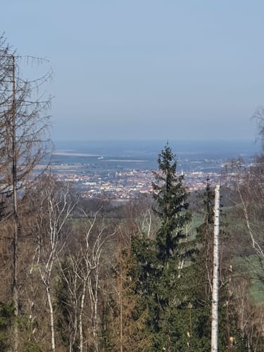 Auf den Hromadnik