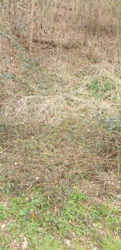 Rehbruchweiher ab Geislautern