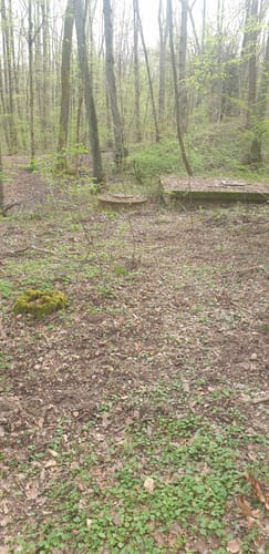 Rehbruchweiher ab Geislautern