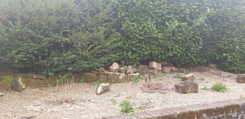 Rehbruchweiher ab Geislautern