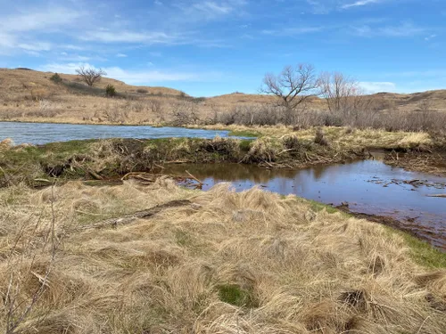 Best Hikes and Trails in Kanopolis Lake State Park | AllTrails