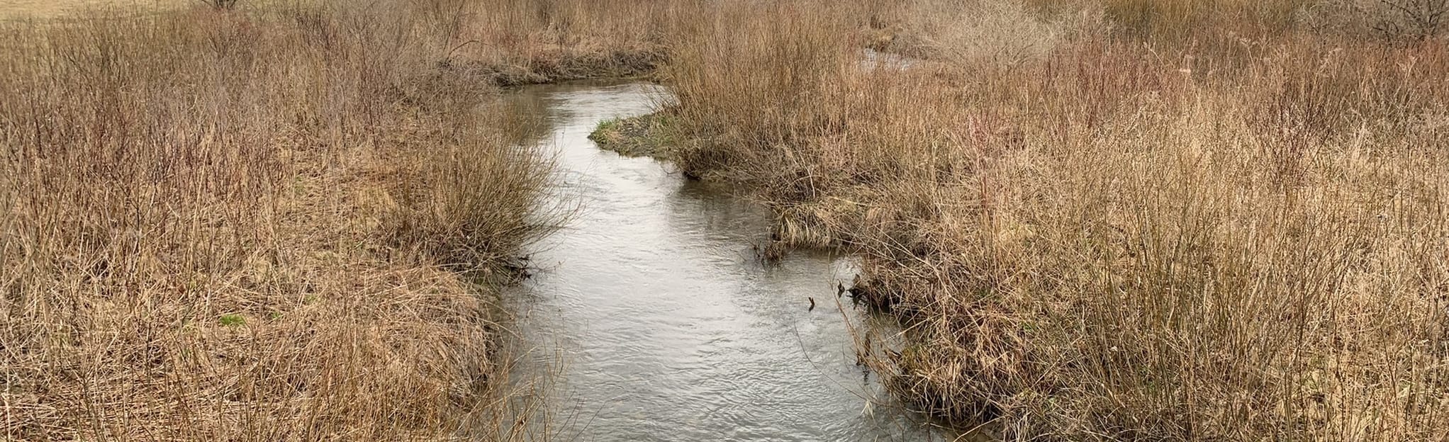 Roy H. Park Preserve Trail 101 Reviews, Map New York AllTrails