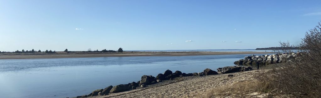 are dogs allowed at west meadow beach