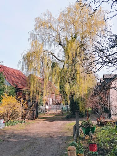 Nemmersdorf St.-Jobst-Weg