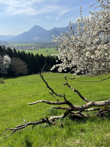 Wanderweg 6 - Nußdorf