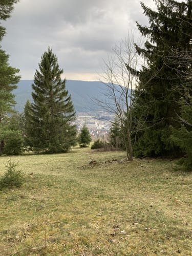 Mittelweg Etappe 7: Kalte Herberge - Neustadt