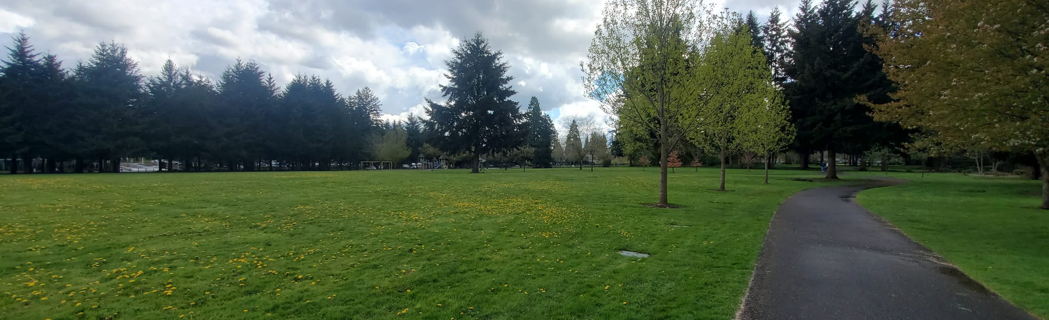 Leroy Haagen Memorial Park Loop 11 Fotos Washington AllTrails