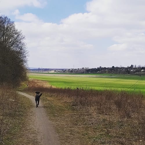 Wanderung Heidesee-Bennstedt