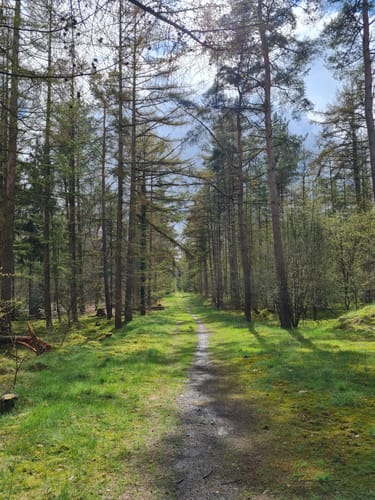 Emshöhenweg ab Wachendorfer See