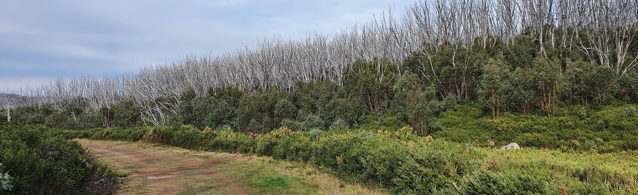 Echo Flat Loop, Victoria, Australia 21 Reviews, Map AllTrails