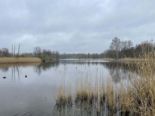 Berliner Mauerweg Etappe 1:  Hermsdorf - Wollankstraße
