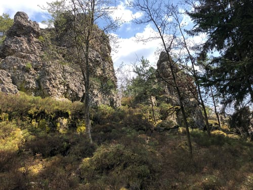 Rund um den Großen Pfahl