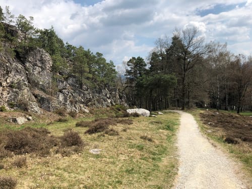 Rund um den Großen Pfahl