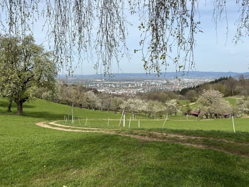 Schneeberg und Schönberg