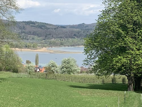 Von Liggeringen zur Burgruine Altbodman