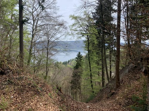 Von Liggeringen zur Burgruine Altbodman