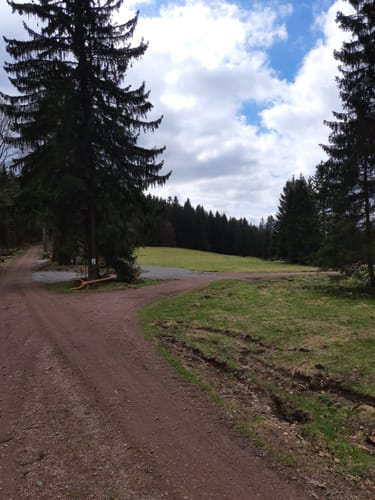 Schleusingerneundorf - Hengstwiese - Otterrod