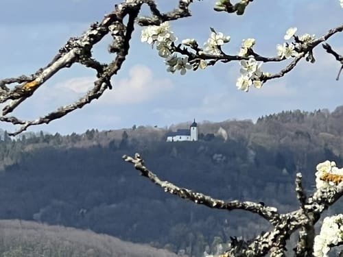 Rund ums Walberla