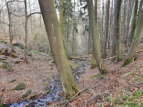 Goldgräberpfad