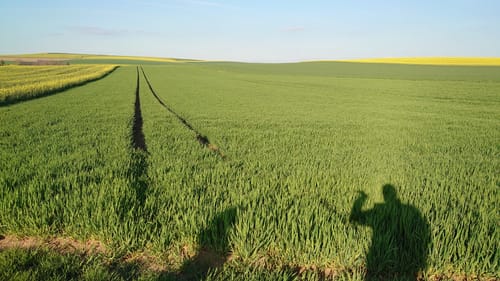 Paradiesweg Polch (Premiumspazierwanderweg)