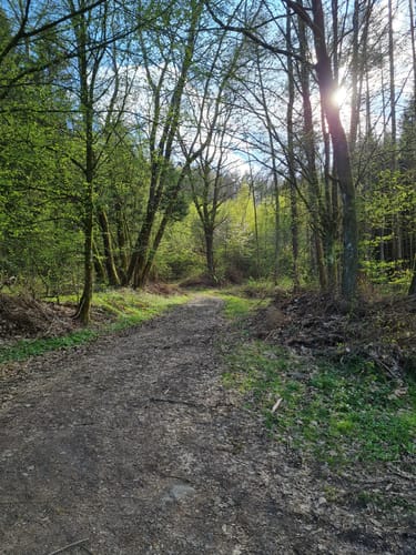 Rundwanderwege Johannesberg: Roter Hase