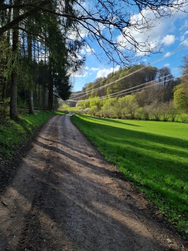 Rundwanderwege Johannesberg: Roter Hase