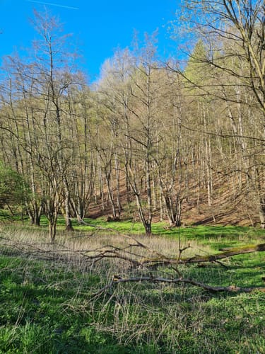 Rundwanderwege Johannesberg: Roter Hase