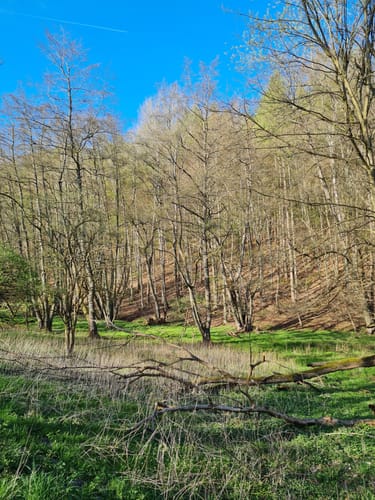 Rundwanderwege Johannesberg: Roter Hase