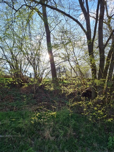 Rundwanderwege Johannesberg: Roter Hase