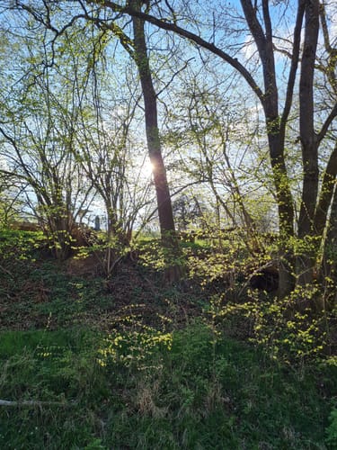 Rundwanderwege Johannesberg: Roter Hase