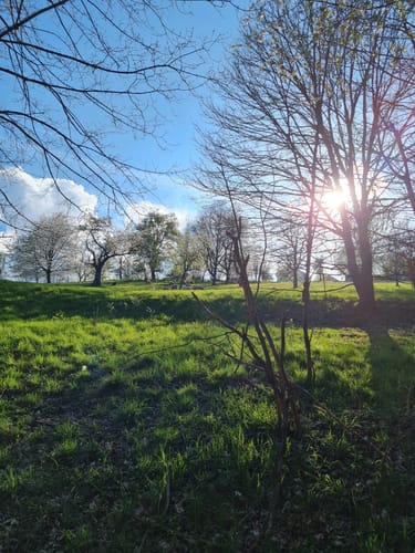 Rundwanderwege Johannesberg: Roter Hase
