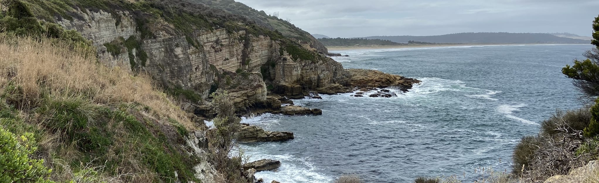 South Arm to Cape Direction Coast Walk 32 Fotos Tasmanien