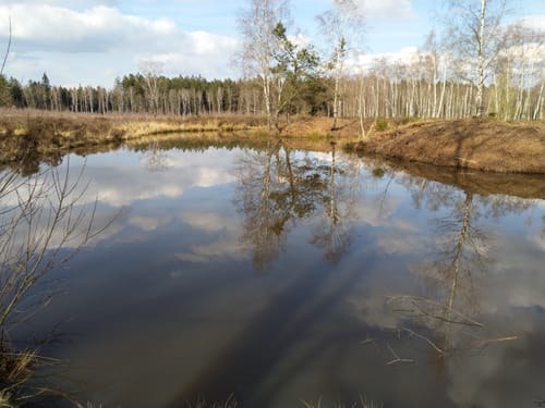Durch das Naturschutzgebiet Stuffelt
