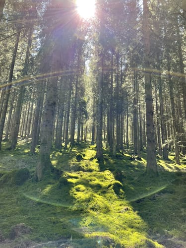 Schwarzbachtal ab Forsthaus Röspe