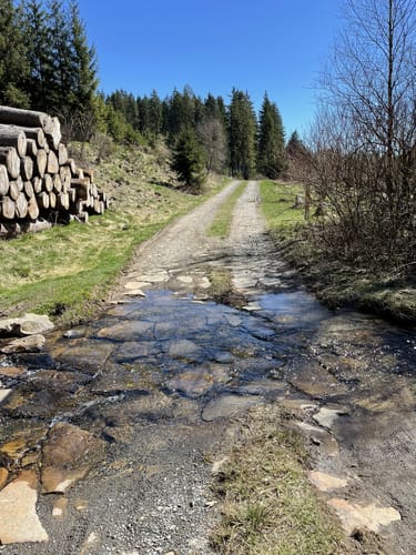 Schwarzbachtal ab Forsthaus Röspe