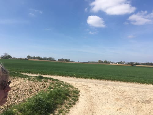 Sint Rosaroute