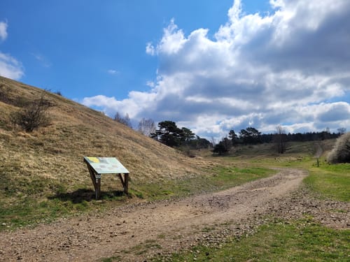 Münsterwald und Schlangenberg ab Stolberg