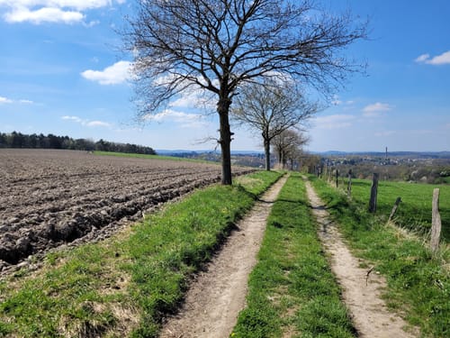 Münsterwald und Schlangenberg ab Stolberg