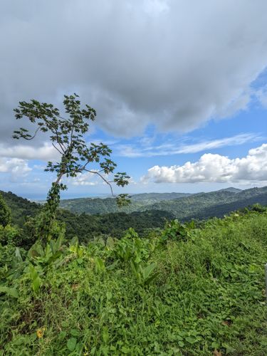 Best 10 Hikes And Trails In El Yunque National Forest Alltrails 0763